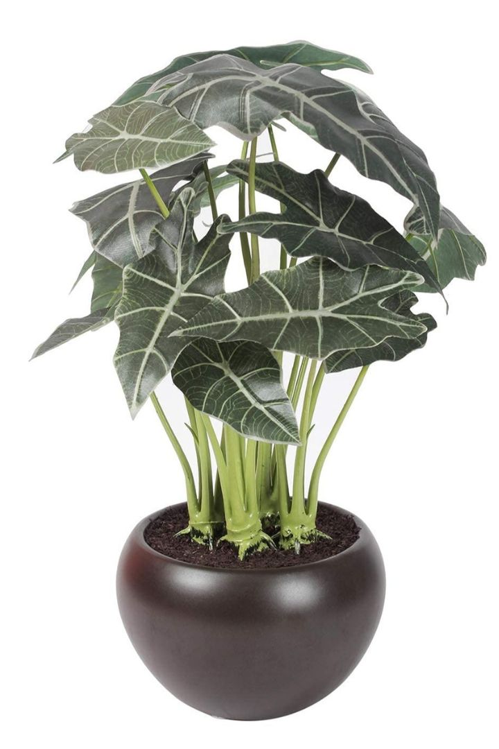 Artificial Bonsai – Effortless Elegance for Every Space