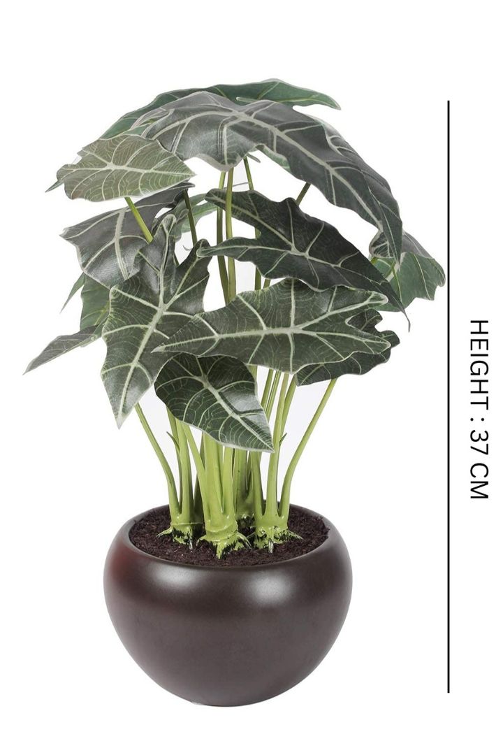 Artificial Bonsai – Effortless Elegance for Every Space