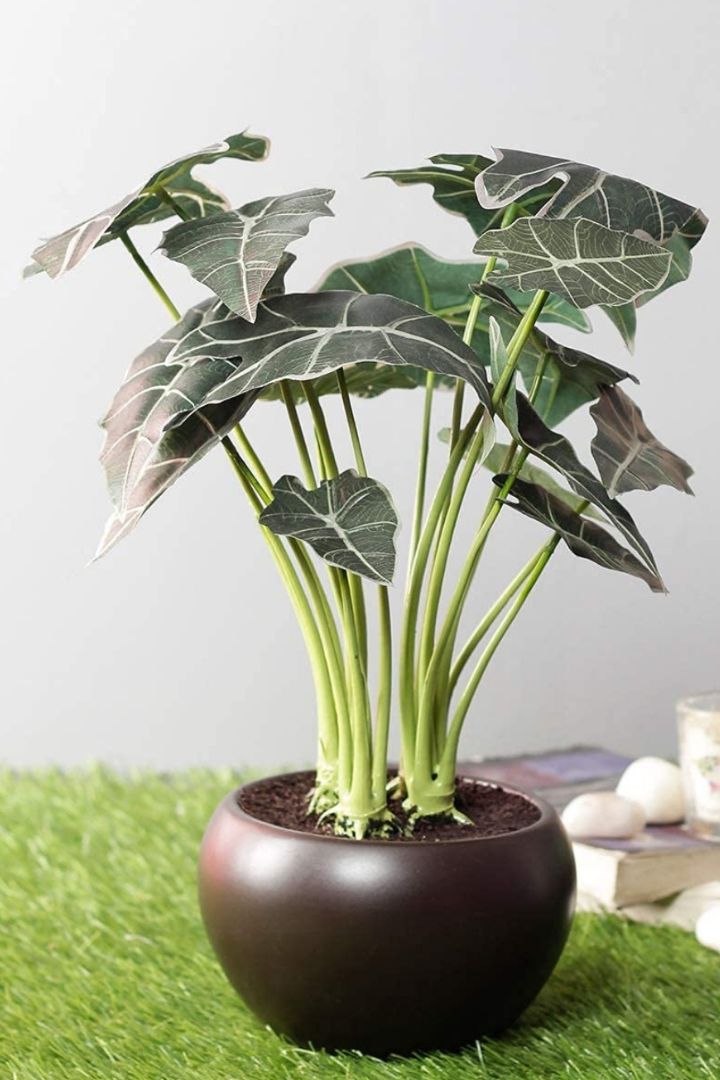 Artificial Bonsai – Effortless Elegance for Every Space