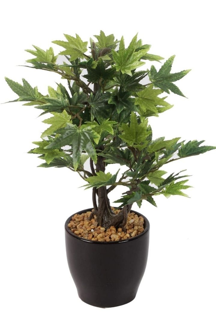 Artificial Croton Bonsai with Ceramic Pot