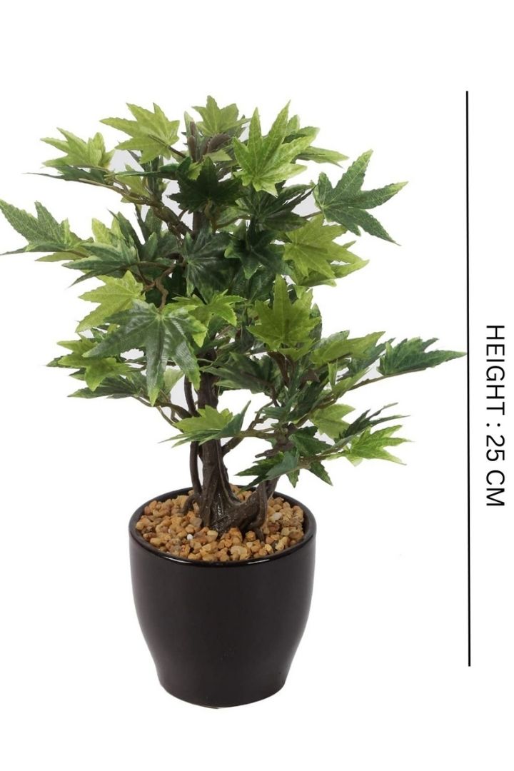 Artificial Croton Bonsai with Ceramic Pot