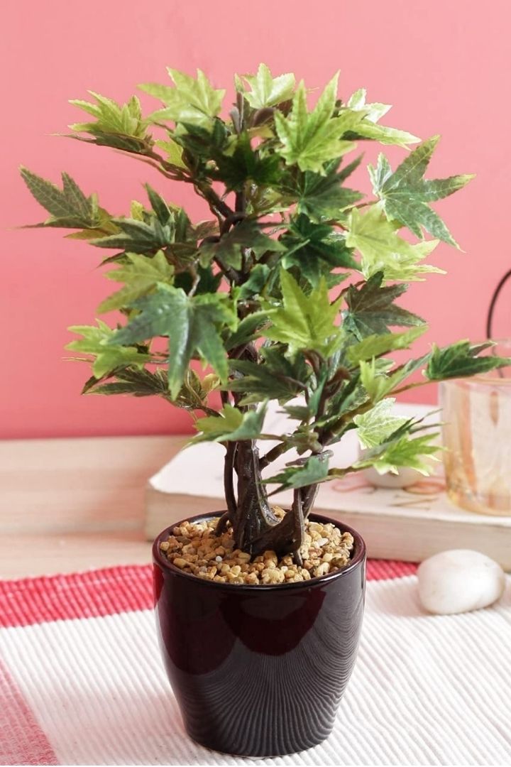 Artificial Croton Bonsai with Ceramic Pot