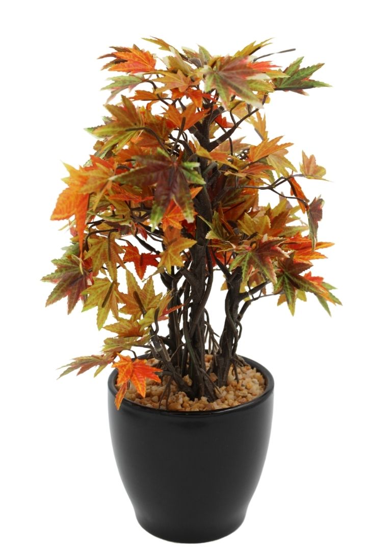 Artificial Croton Bonsai with Ceramic Pot