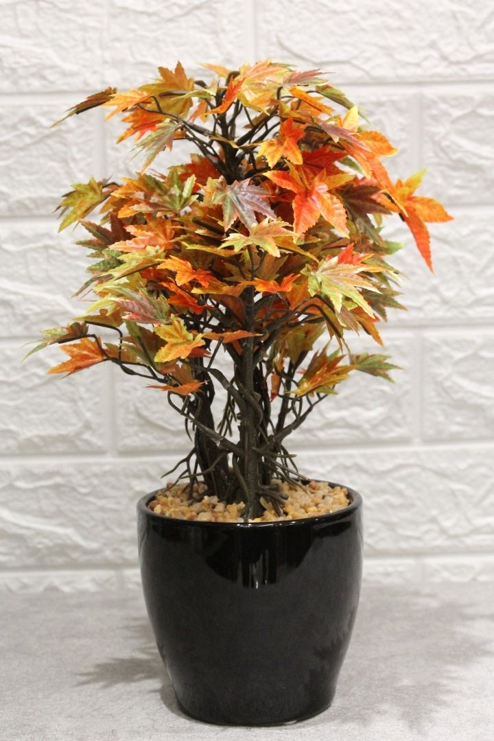 Artificial Croton Bonsai with Ceramic Pot