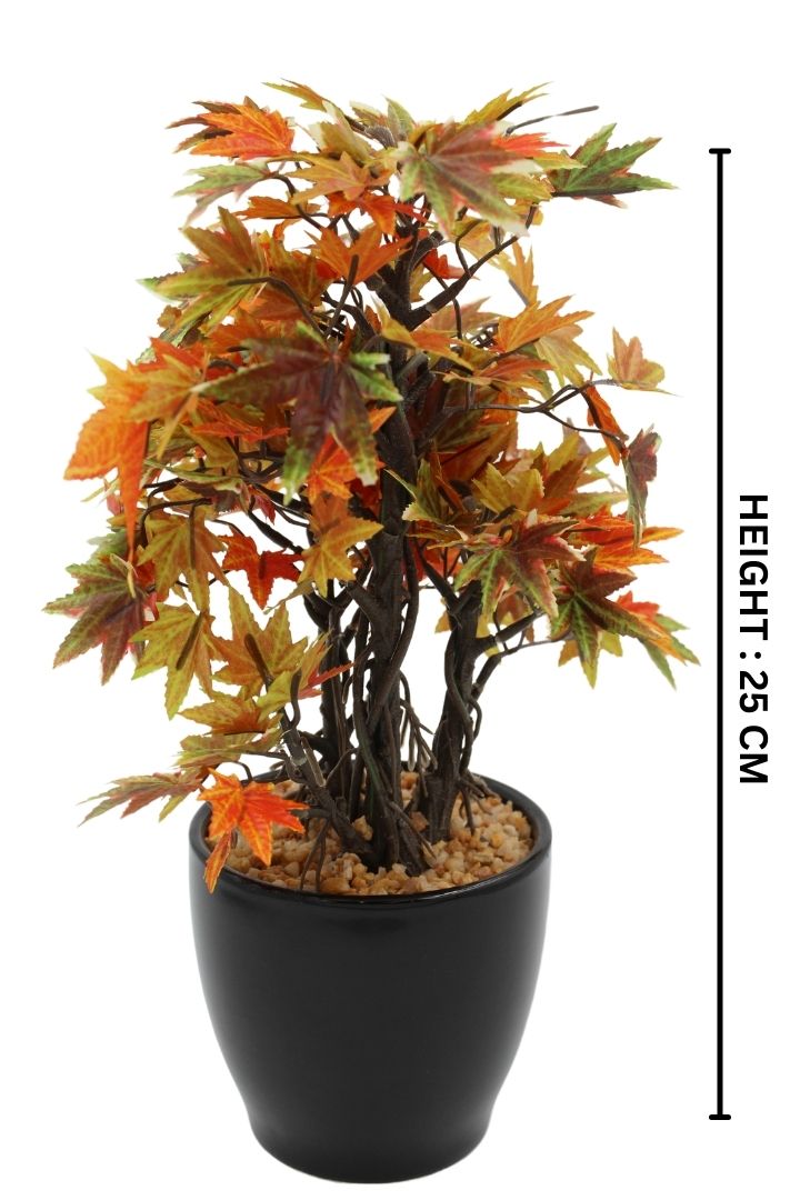 Artificial Croton Bonsai with Ceramic Pot