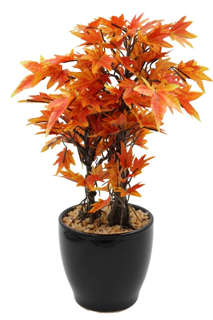 Artificial Croton Bonsai with Ceramic Pot