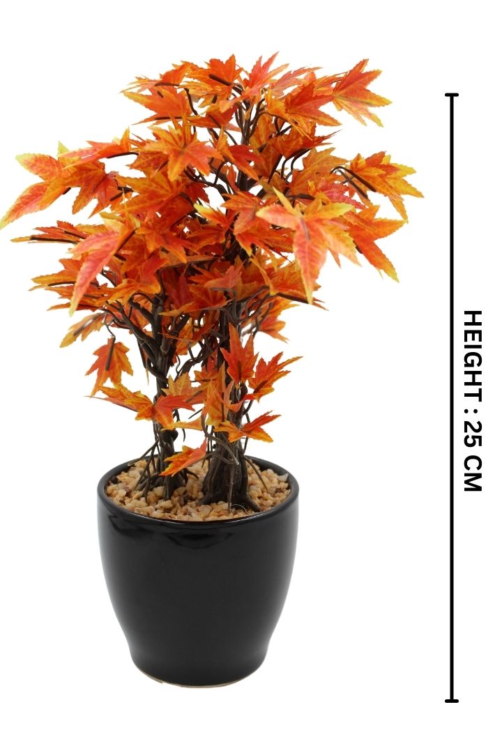 Artificial Croton Bonsai with Ceramic Pot