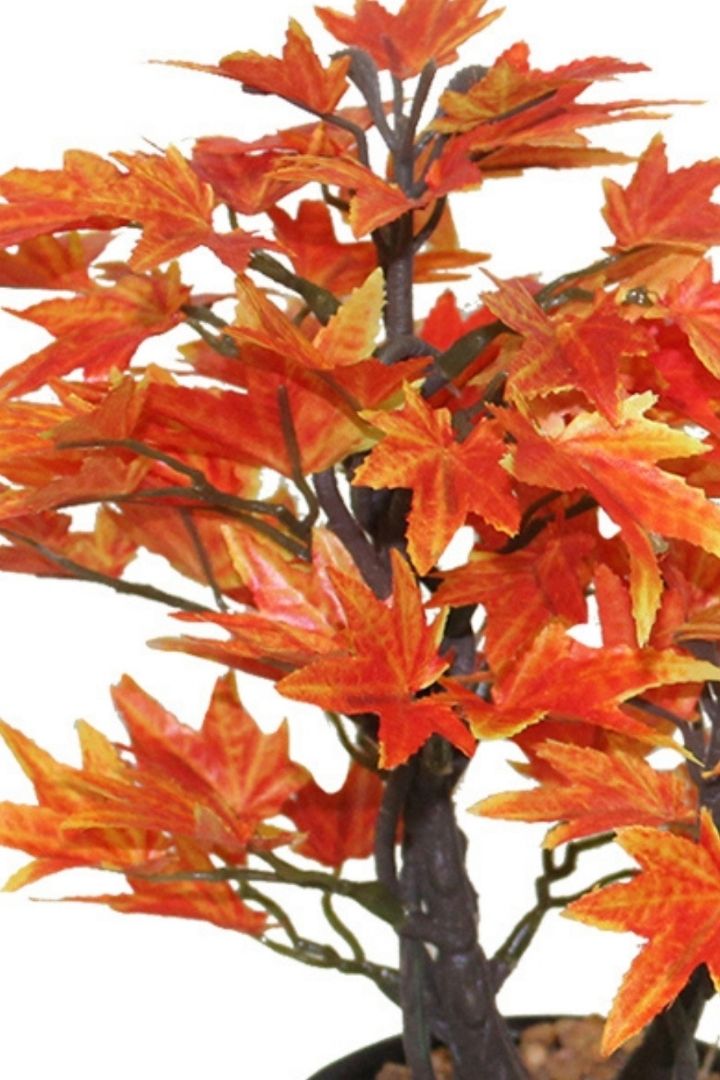 Artificial Croton Bonsai with Ceramic Pot