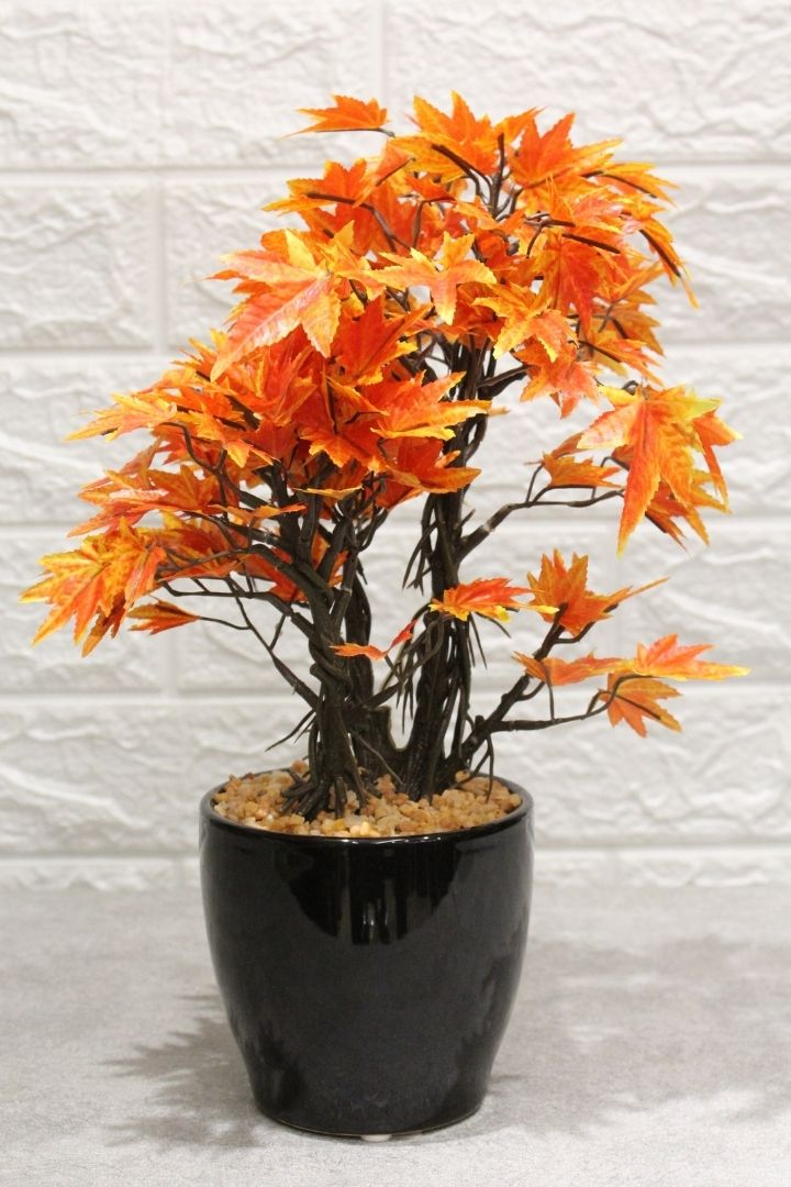 Artificial Croton Bonsai with Ceramic Pot