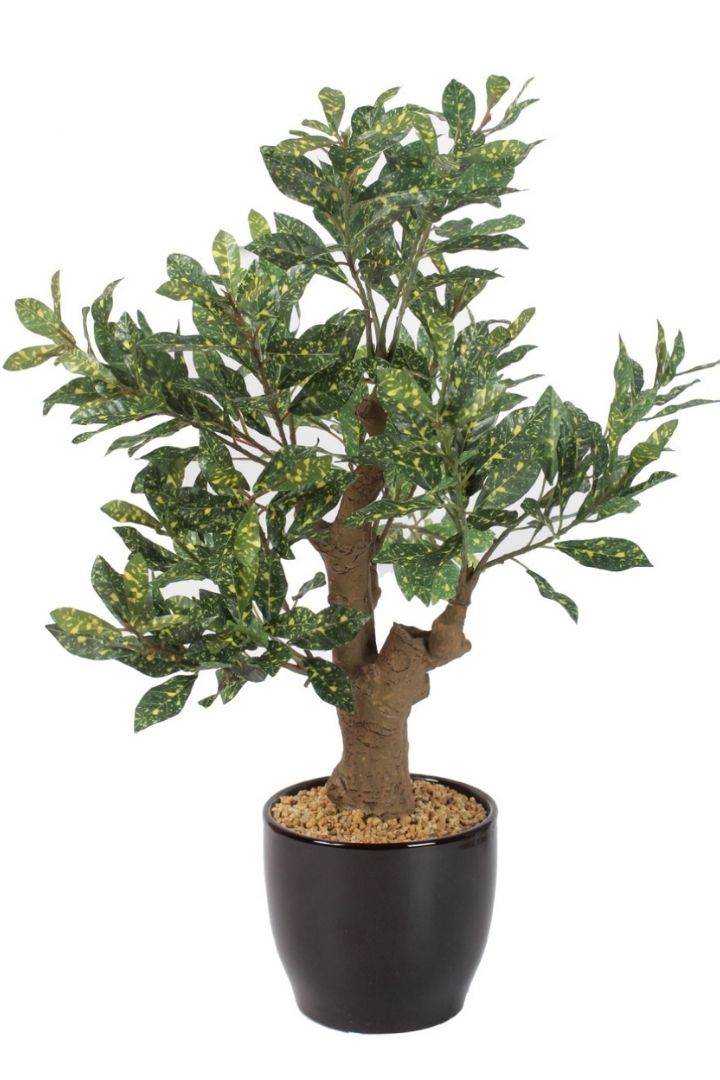 Stunning Artificial Croton Bonsai with Black Ceramic Pot