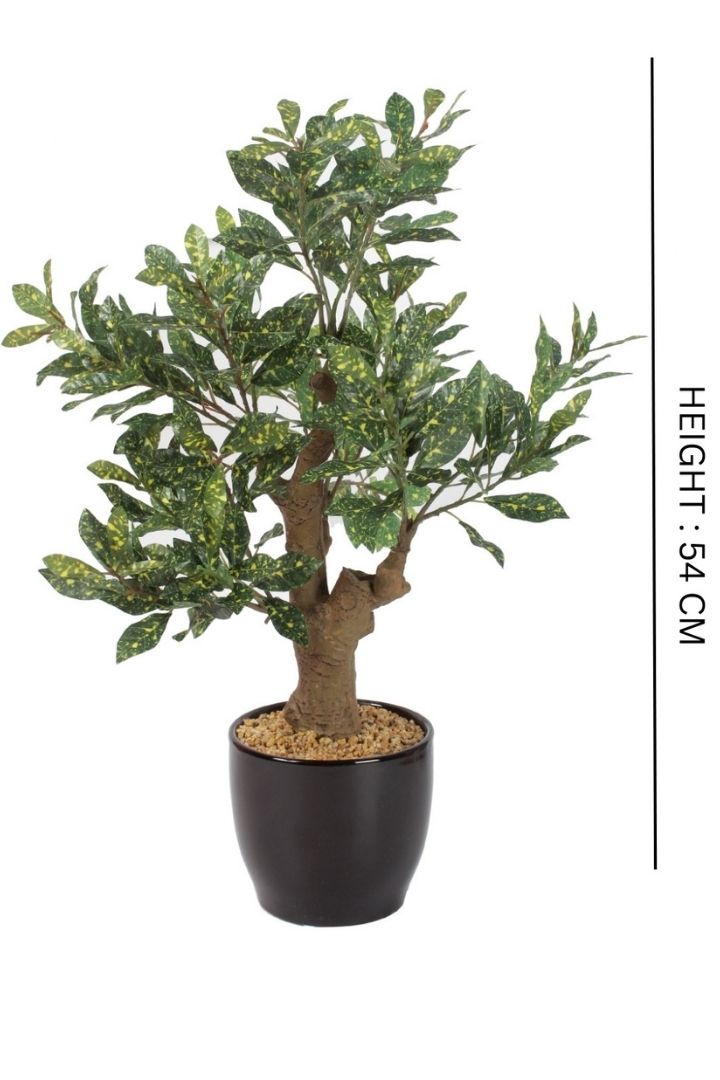 Stunning Artificial Croton Bonsai with Black Ceramic Pot