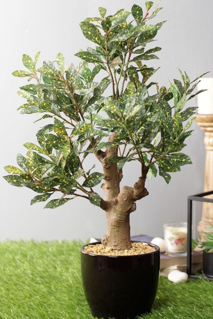 Stunning Artificial Croton Bonsai with Black Ceramic Pot