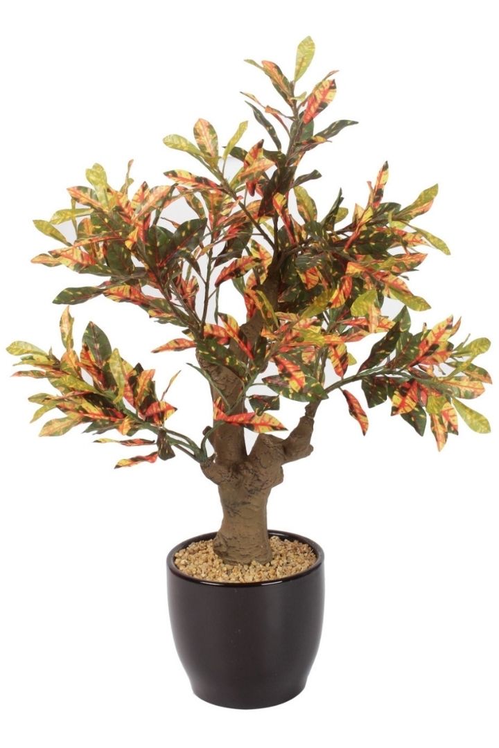 Stunning Artificial Croton Bonsai with Black Ceramic Pot