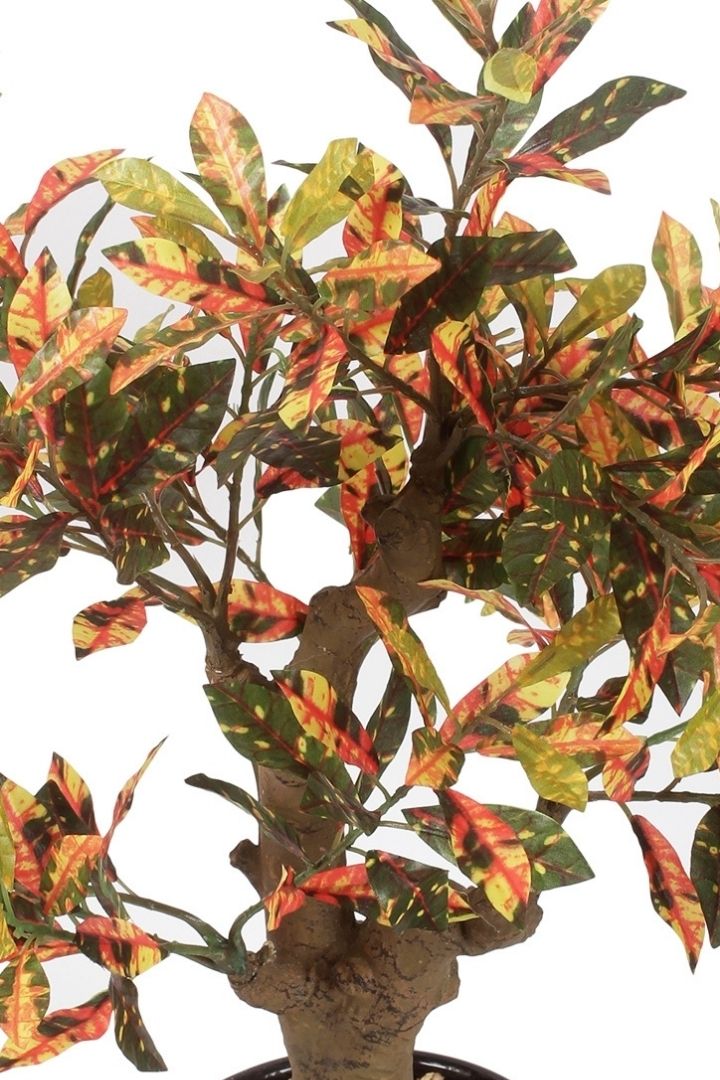 Stunning Artificial Croton Bonsai with Black Ceramic Pot