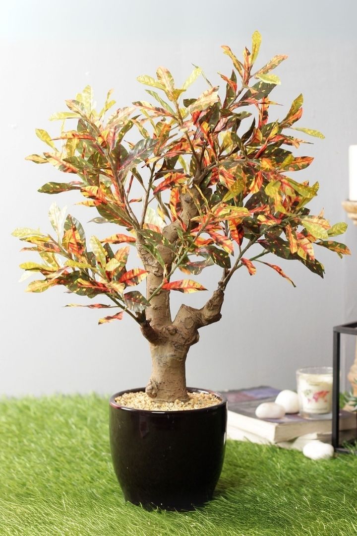 Stunning Artificial Croton Bonsai with Black Ceramic Pot