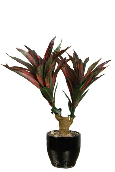 Artificial Yucca Bonsai – A Bold Statement in a Compact Size
