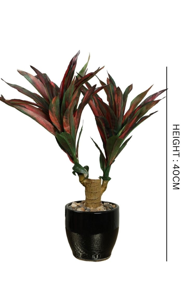 Artificial Yucca Bonsai – A Bold Statement in a Compact Size