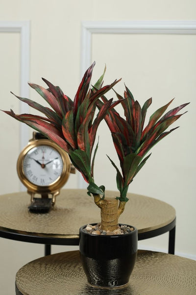 Artificial Yucca Bonsai – A Bold Statement in a Compact Size