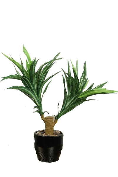 Artificial Yucca Bonsai – A Bold Statement in a Compact Size