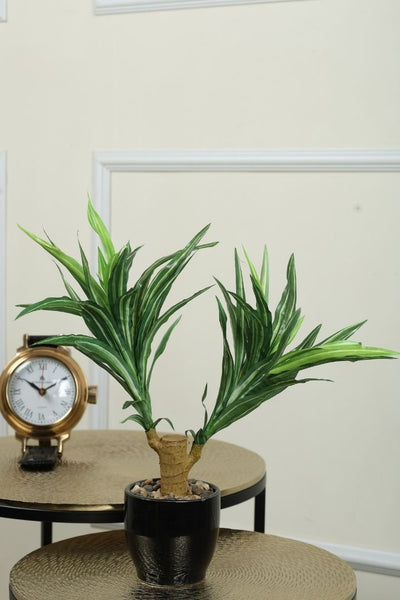 Artificial Yucca Bonsai – A Bold Statement in a Compact Size