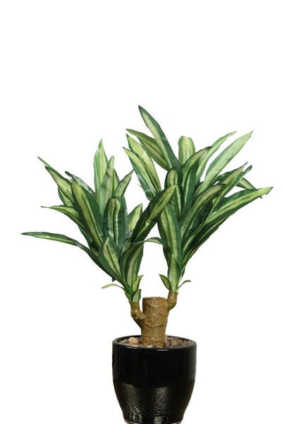 Artificial Yucca Bonsai – A Bold Statement in a Compact Size