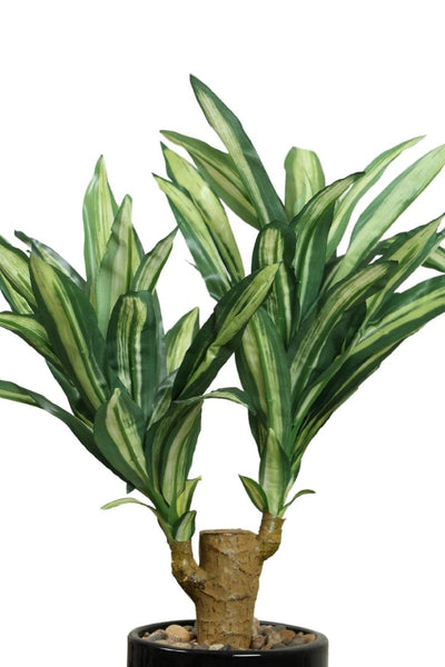 Artificial Yucca Bonsai – A Bold Statement in a Compact Size