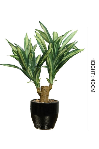 Artificial Yucca Bonsai – A Bold Statement in a Compact Size