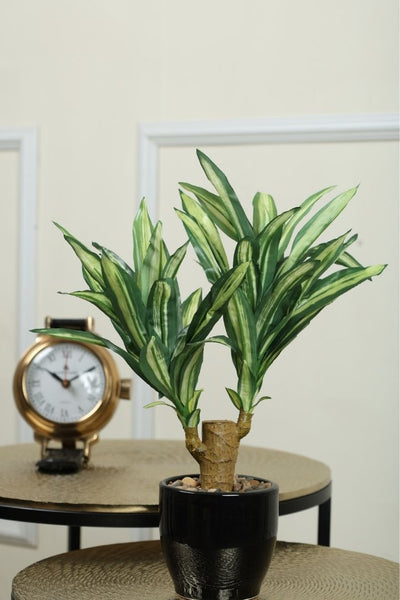 Artificial Yucca Bonsai – A Bold Statement in a Compact Size