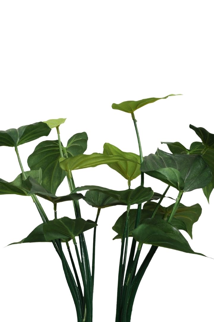 Beautifully Crafted Bonsai Black Ceramic pot