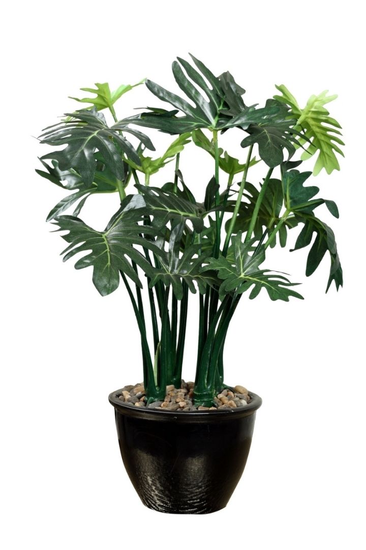 Beautifully Crafted Bonsai Black Ceramic pot