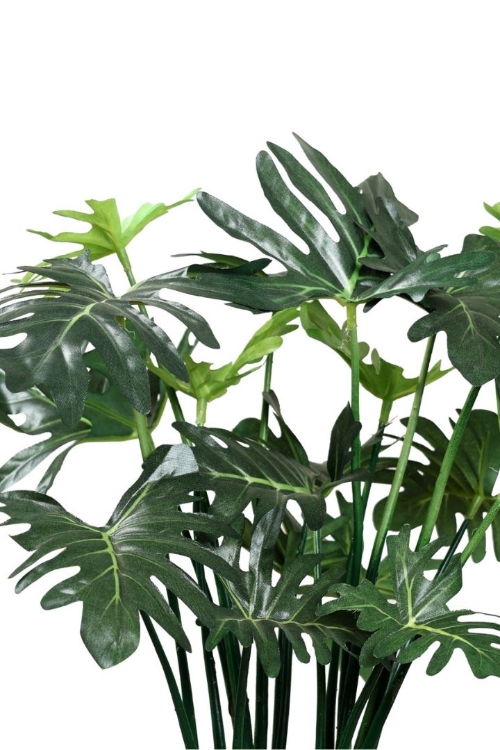 Beautifully Crafted Bonsai Black Ceramic pot