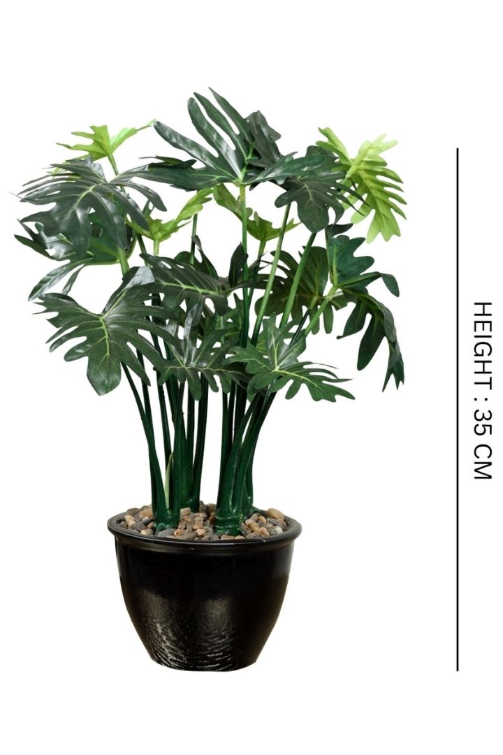 Beautifully Crafted Bonsai Black Ceramic pot