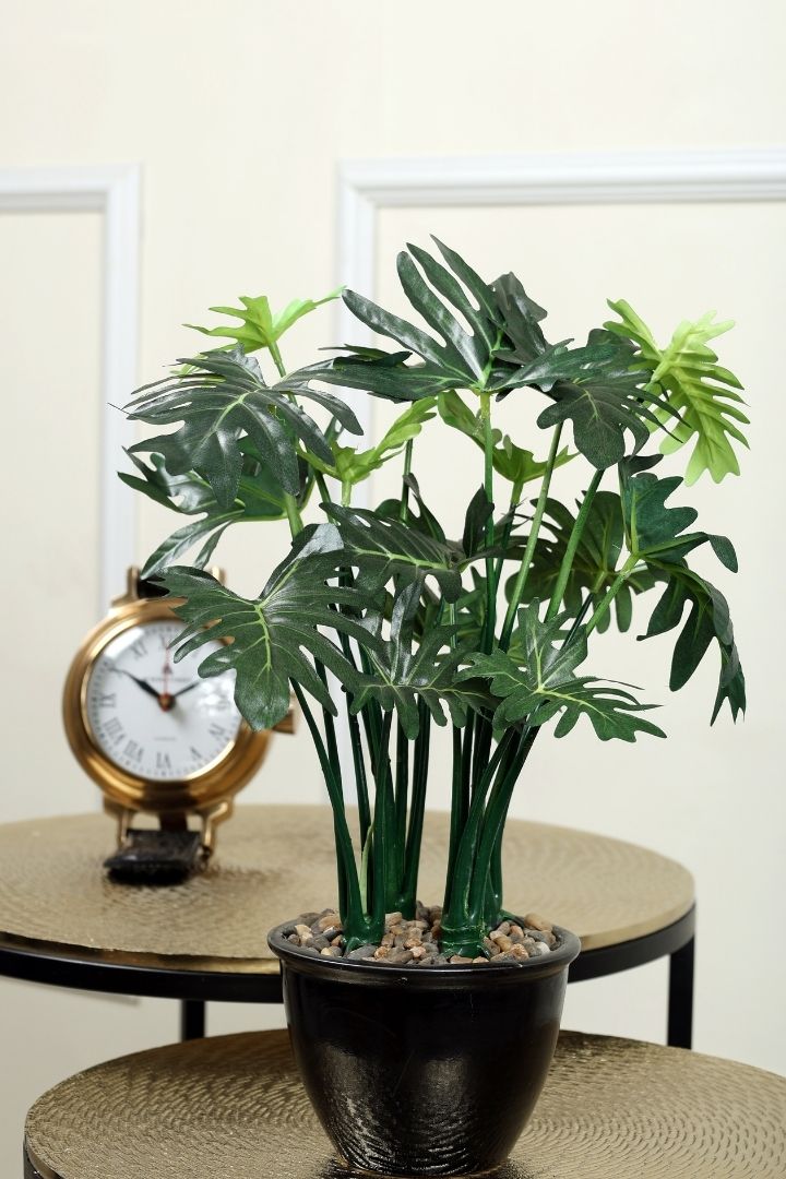 Beautifully Crafted Bonsai Black Ceramic pot