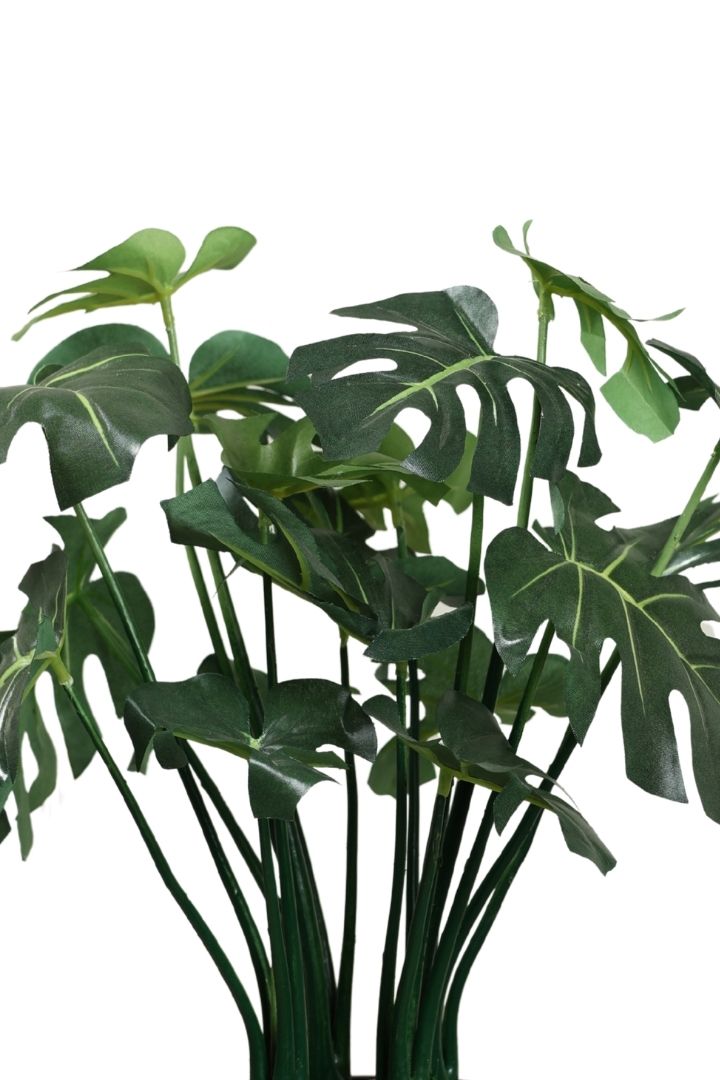 Beautifully Crafted Bonsai Black Ceramic pot