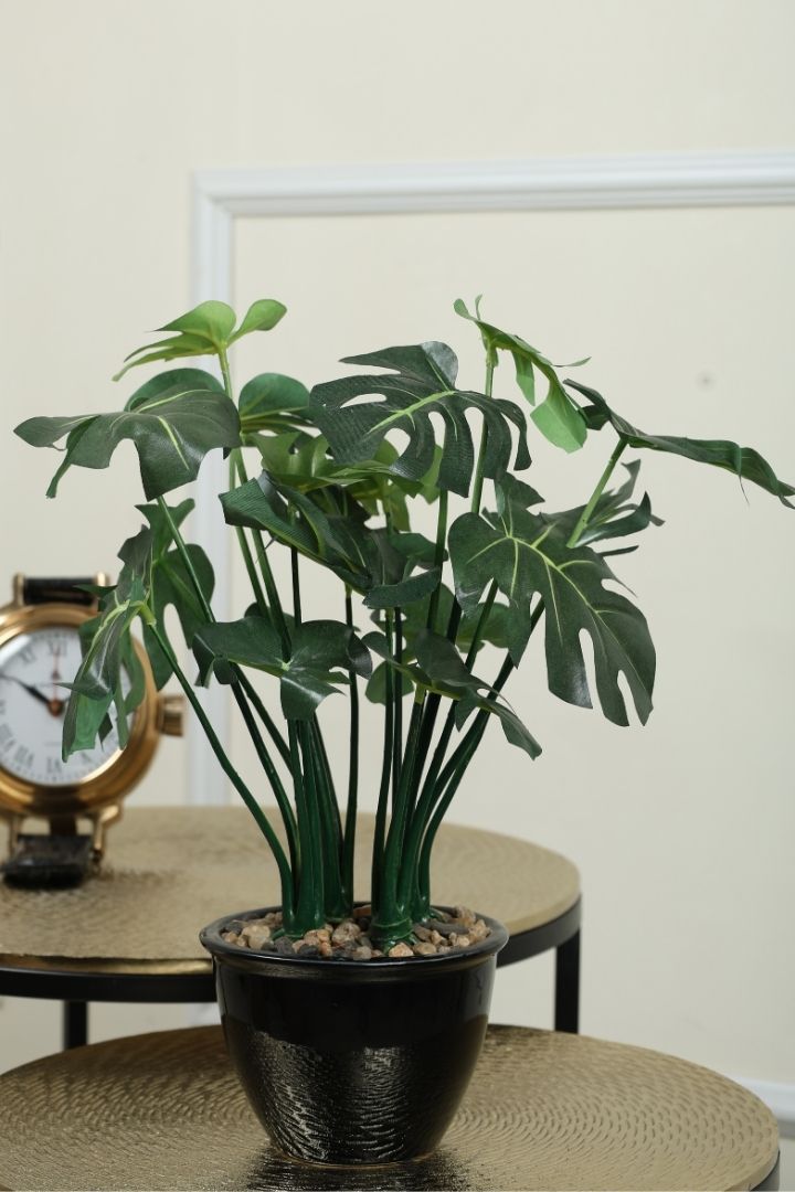 Beautifully Crafted Bonsai Black Ceramic pot