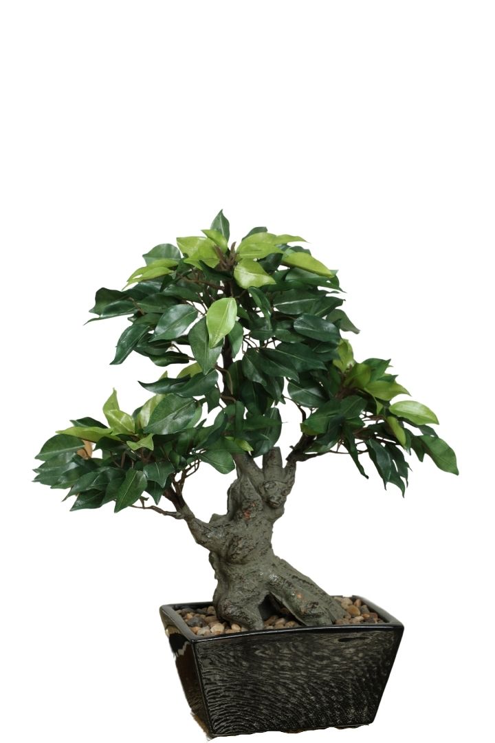 Artificial Bonsai Tree – Elegant Greenery for Any Space