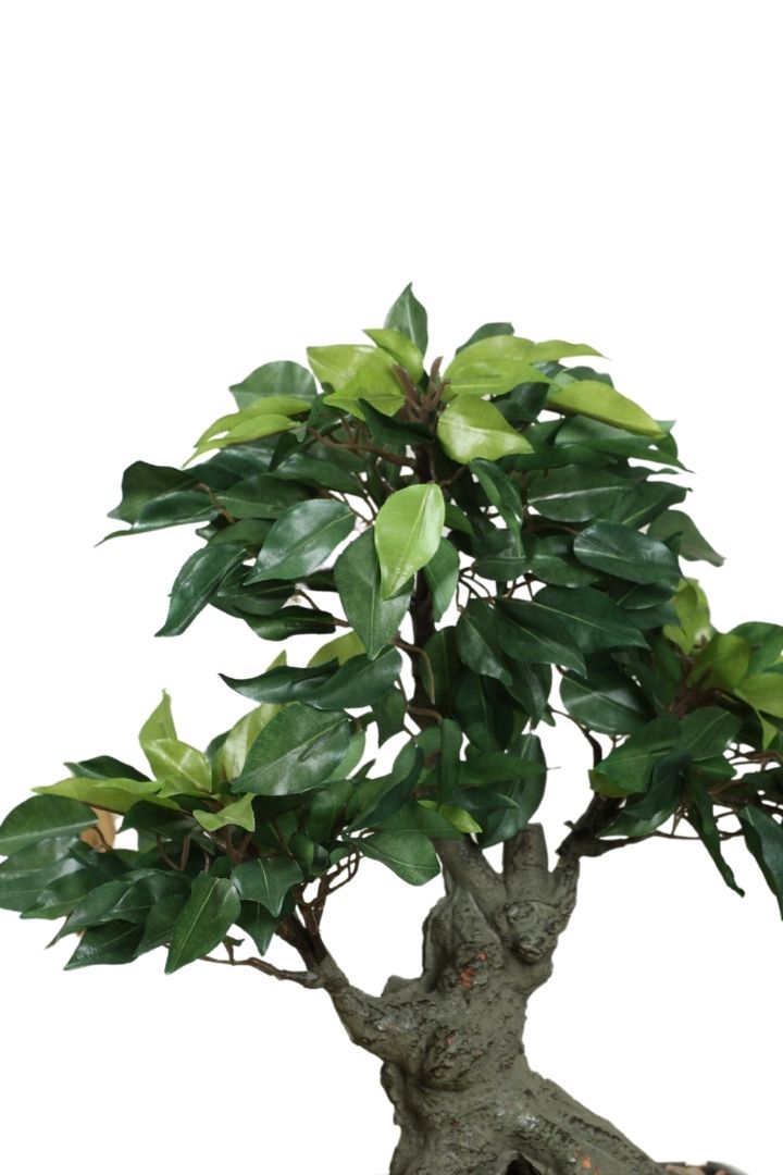 Artificial Bonsai Tree – Elegant Greenery for Any Space