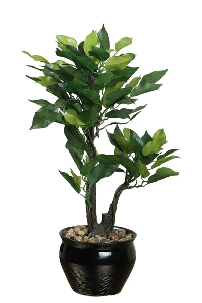 Graceful Artificial Bonsai – A Timeless Accent for Your Space