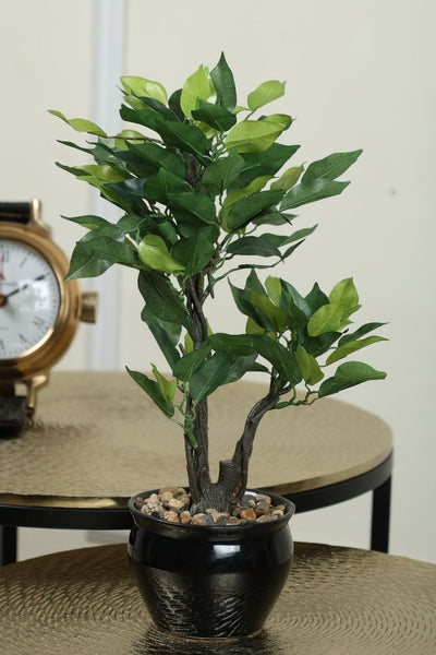 Graceful Artificial Bonsai – A Timeless Accent for Your Space
