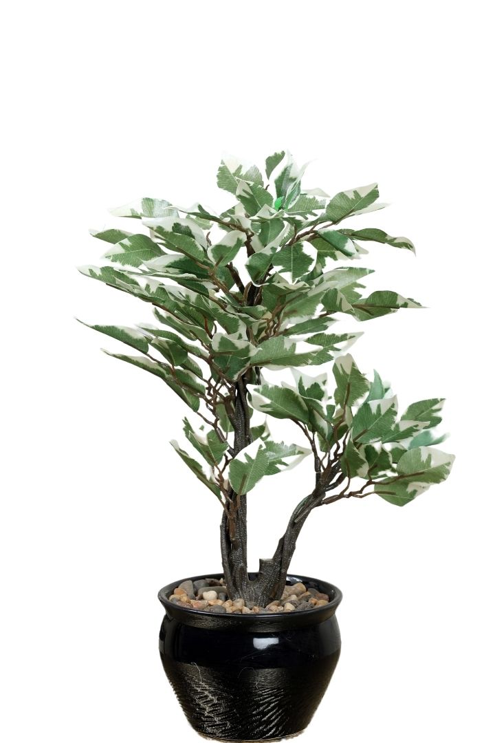 Graceful Artificial Bonsai – A Timeless Accent for Your Space