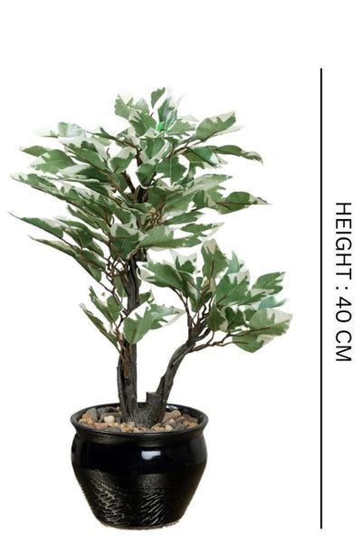 Graceful Artificial Bonsai – A Timeless Accent for Your Space