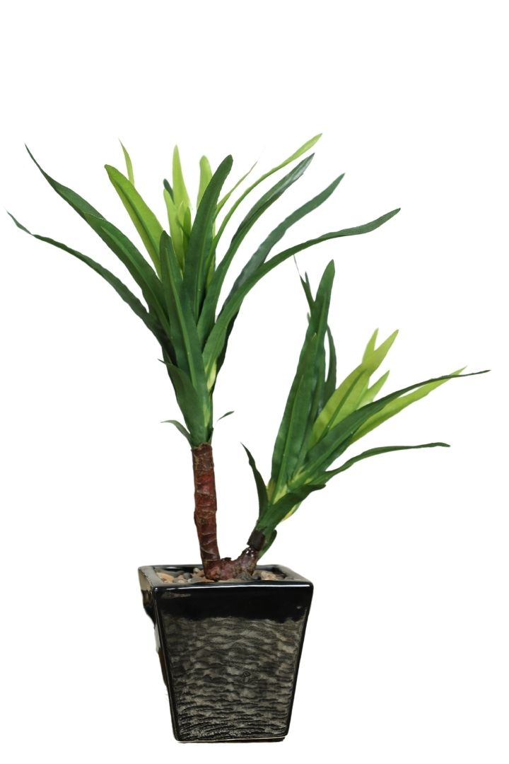 Artificial Bonsai Tree – A Touch of  Minus the Hassle