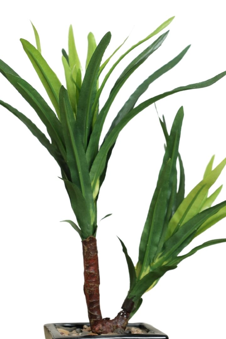 Artificial Bonsai Tree – A Touch of  Minus the Hassle