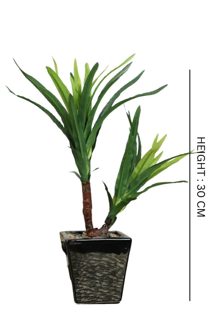 Artificial Bonsai Tree – A Touch of  Minus the Hassle