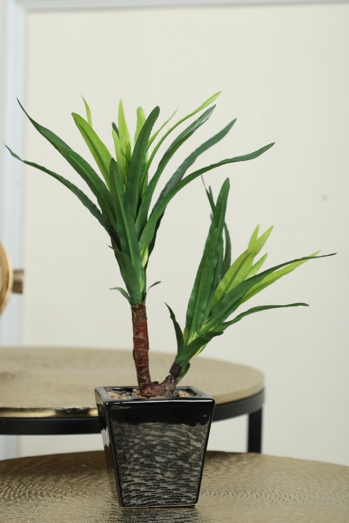 Artificial Bonsai Tree – A Touch of  Minus the Hassle