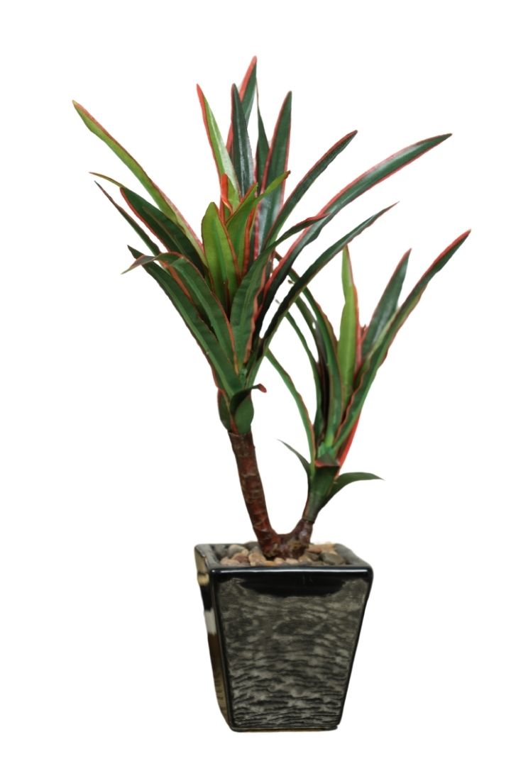 Artificial Bonsai Tree – A Touch of  Minus the Hassle