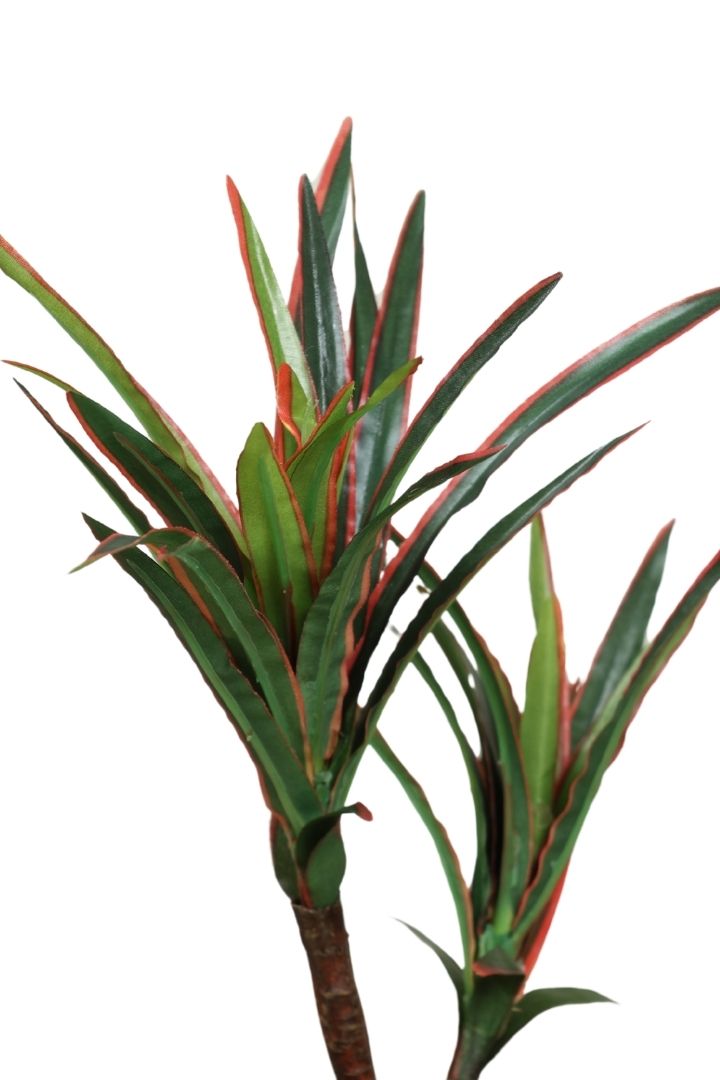 Artificial Bonsai Tree – A Touch of  Minus the Hassle