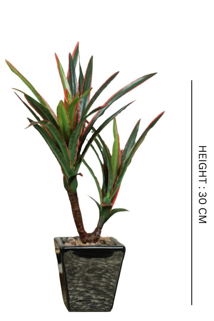 Artificial Bonsai Tree – A Touch of  Minus the Hassle