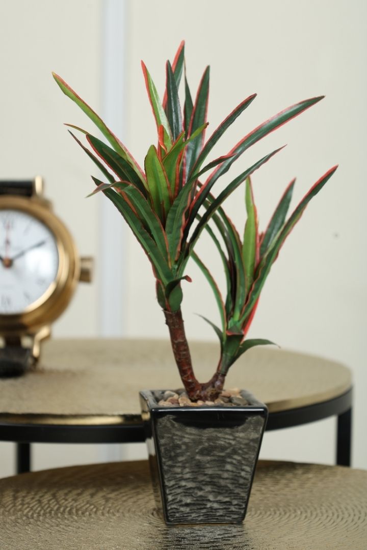 Artificial Bonsai Tree – A Touch of  Minus the Hassle