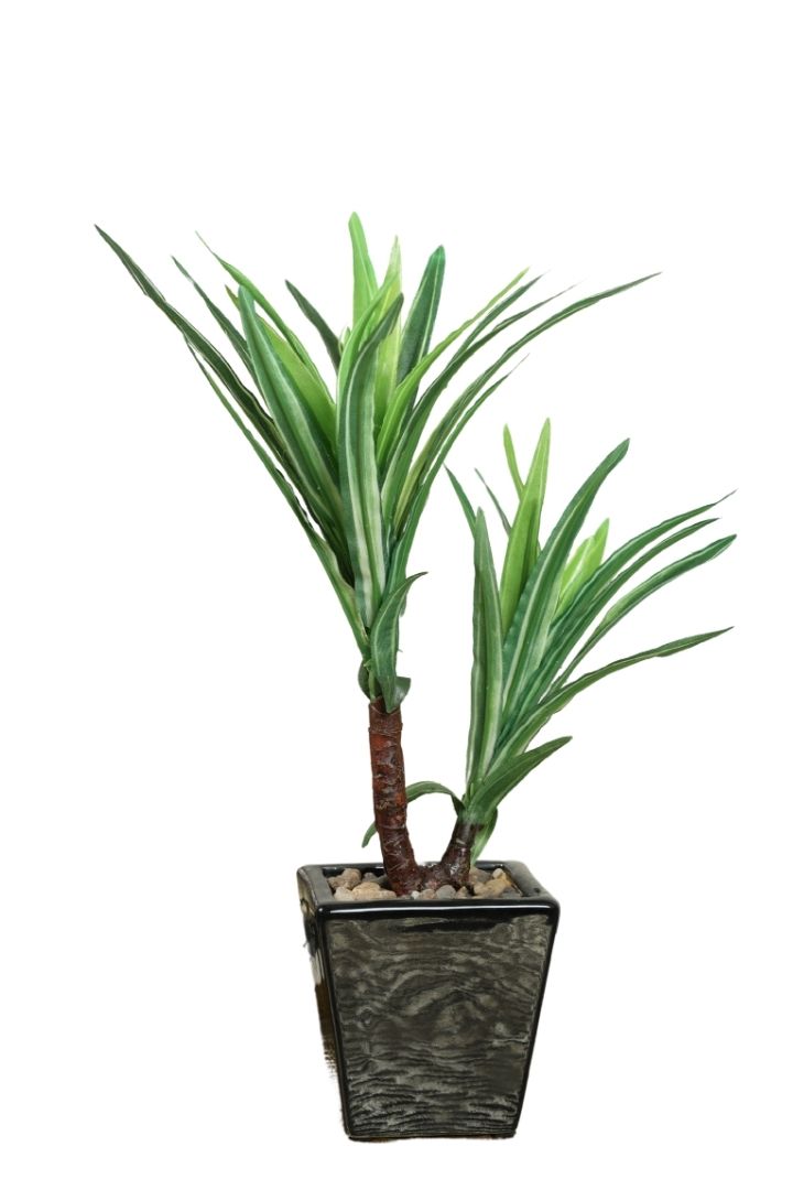 Artificial Bonsai Tree – A Touch of  Minus the Hassle